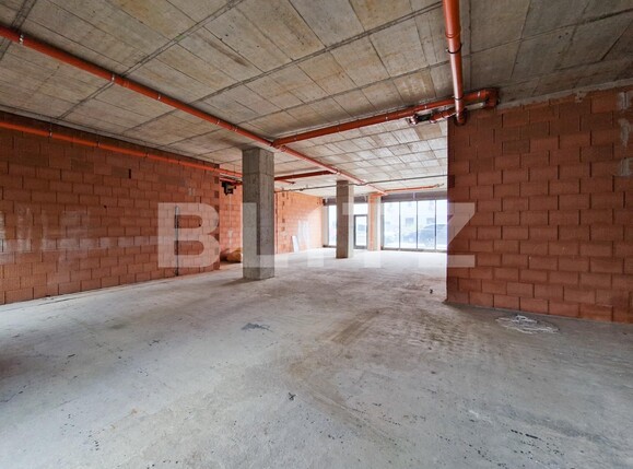 Spațiu birouri de închiriat Badea Cartan - 112141SIB | BLITZ Timișoara | Poza5