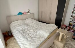 APARTAMENT 1 CAMERA, 43 MP, CALEA LIPOVEI
