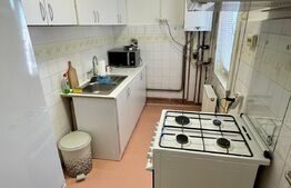 APARTAMENT 1 CAMERA, 43 MP, CALEA LIPOVEI