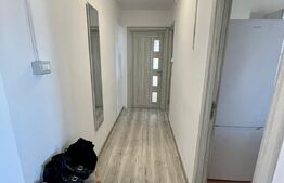 APARTAMENT 1 CAMERA, 43 MP, CALEA LIPOVEI