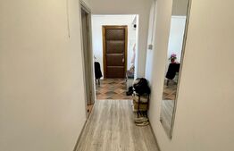 APARTAMENT 1 CAMERA, 43 MP, CALEA LIPOVEI