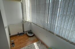 APARTAMENT 1 CAMERA, 43 MP, CALEA LIPOVEI