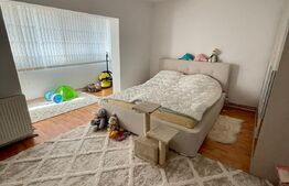 APARTAMENT 1 CAMERA, 43 MP, CALEA LIPOVEI