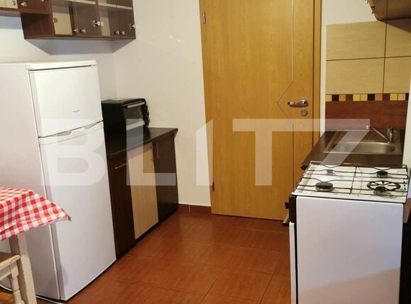 Garsonieră de închiriat Ciarda Rosie - 112407AI | BLITZ Timișoara | Poza3