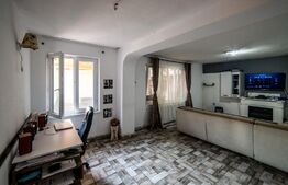 Casa cu 3 apartamante+spatiu comercial, 320mp utili, 691mp teren, Sagului