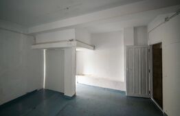 Casa cu 3 apartamante+spatiu comercial, 320mp utili, 691mp teren, Sagului