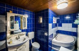 Casa cu 3 apartamante+spatiu comercial, 320mp utili, 691mp teren, Sagului