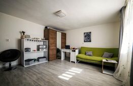 Casa cu 3 apartamante+spatiu comercial, 320mp utili, 691mp teren, Sagului