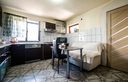 Casa cu 3 apartamante+spatiu comercial, 320mp utili, 691mp teren, Sagului