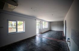 Casa cu 3 apartamante+spatiu comercial, 320mp utili, 691mp teren, Sagului