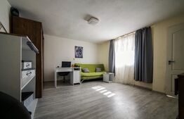 Casa cu 3 apartamante+spatiu comercial, 320mp utili, 691mp teren, Sagului