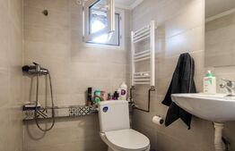 Casa cu 3 apartamante+spatiu comercial, 320mp utili, 691mp teren, Sagului