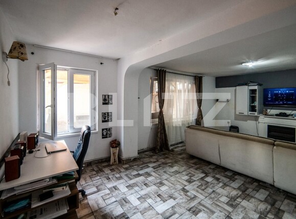 Casa de vânzare 10 camere Sagului - 112526CV | BLITZ Timișoara | Poza12