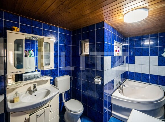 Casa de vânzare 10 camere Sagului - 112526CV | BLITZ Timișoara | Poza19