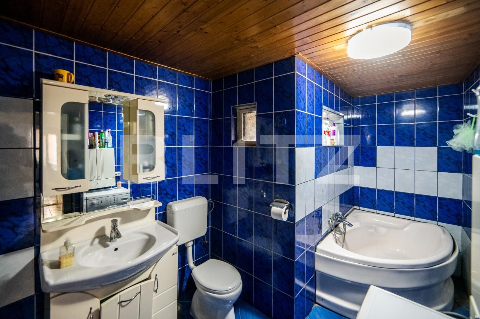 Casa de vânzare 10 camere Sagului - 112526CV | BLITZ Timișoara | Poza19