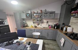 Apartament de 3 camere, superb, cu terasă, zona Iosefin