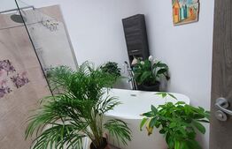 Apartament de 3 camere, superb, cu terasă, zona Iosefin