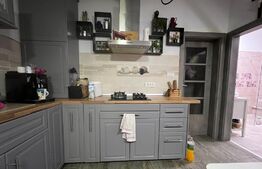 Apartament de 3 camere, superb, cu terasă, zona Iosefin