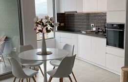 Apartament cu doua camere, 60 mp, zona Take Ionescu