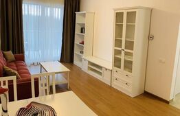 Apartament cu 2 camere, 43 mp, zona Lipovei