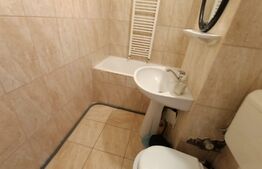 Apartament cu o camera, Badea Cartan