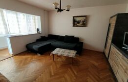 Apartament cu o camera, Badea Cartan