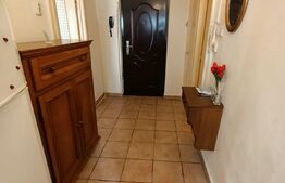 Apartament cu o camera, Badea Cartan