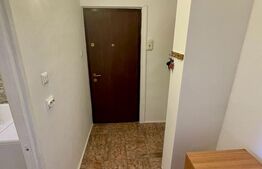 Garsoniera 27mp, confort 1, Calea Lipovei