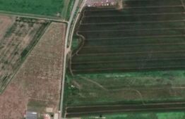 Teren extravilan, 10.005 mp, Giarmata langa A1