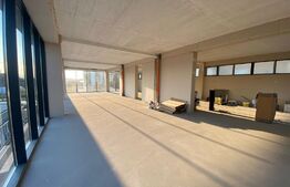 Spatiu comercial, 200 mp, zona Torontalului- 12€ mp + TVA