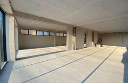 Spatiu comercial, 200 mp, zona Torontalului- 12€ mp + TVA