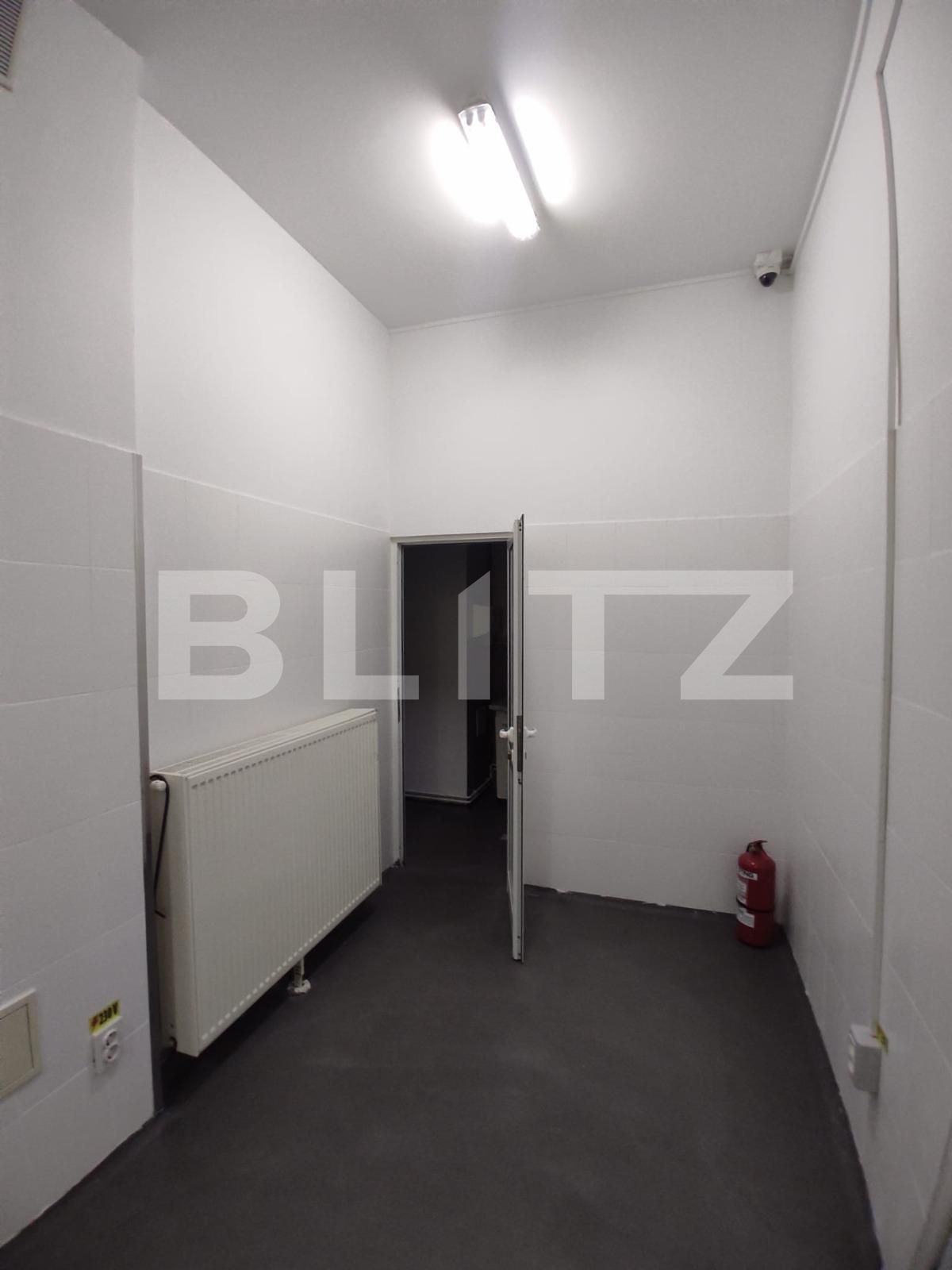 Spațiu comercial de închiriat Spitalul Judetean - 113117SIC | BLITZ Timișoara | Poza3