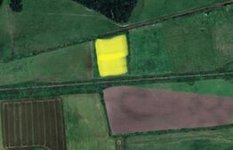 Teren extravilan de vanzare, 50.000 mp, langa padurea din Pischia!