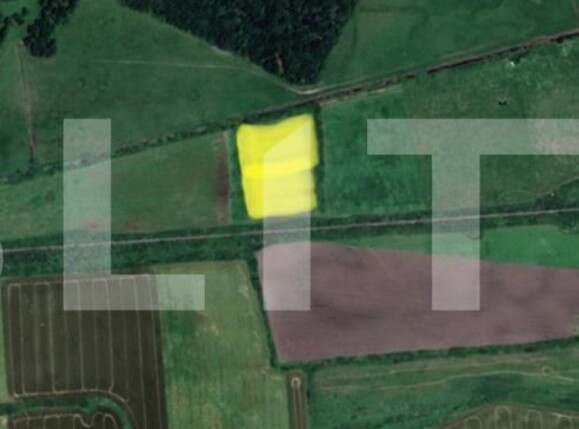 Teren de vânzare Pischia - 113241TV | BLITZ Timișoara | Poza1