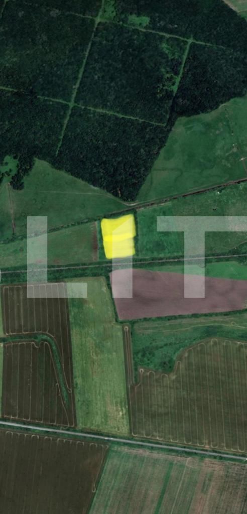 Teren de vânzare Pischia - 113241TV | BLITZ Timișoara | Poza1