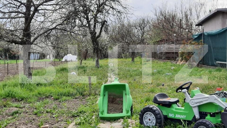 Casa de vânzare 6 camere Sagului - 113250CV | BLITZ Timișoara | Poza5