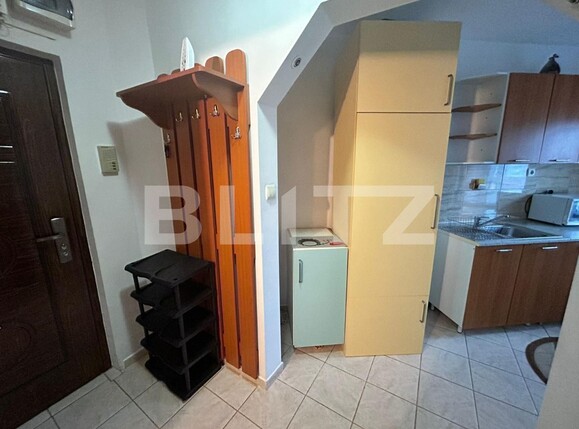 Garsonieră de închiriat Sagului - 113417AI | BLITZ Timișoara | Poza2