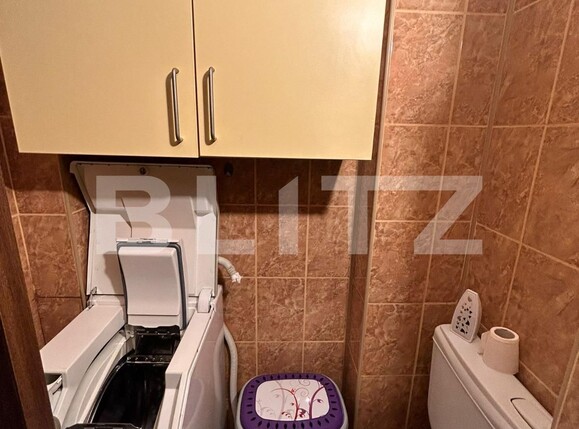 Garsonieră de închiriat Sagului - 113417AI | BLITZ Timișoara | Poza3