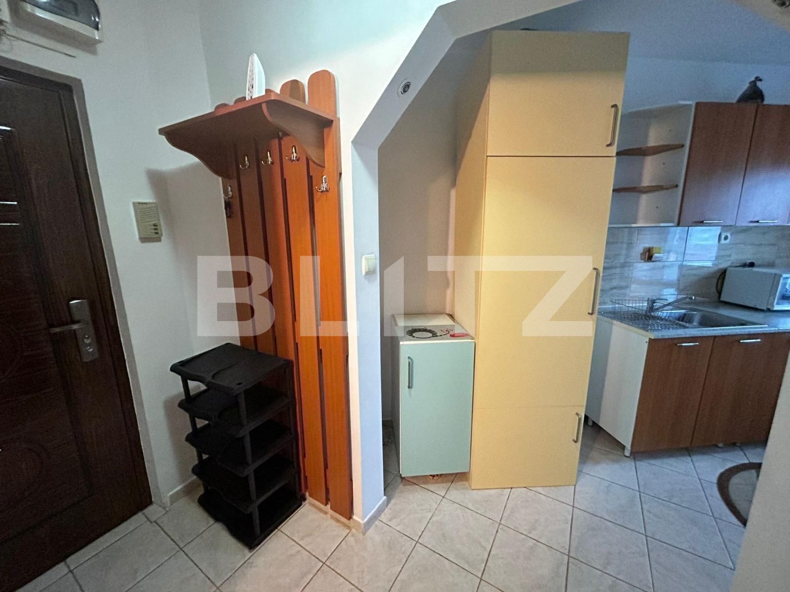 Garsonieră de închiriat Sagului - 113417AI | BLITZ Timișoara | Poza2