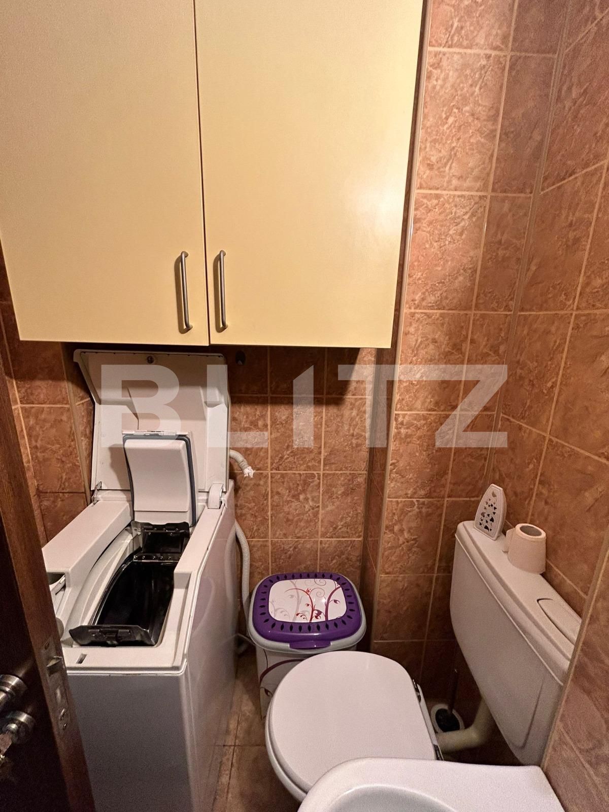 Garsonieră de închiriat Sagului - 113417AI | BLITZ Timișoara | Poza3