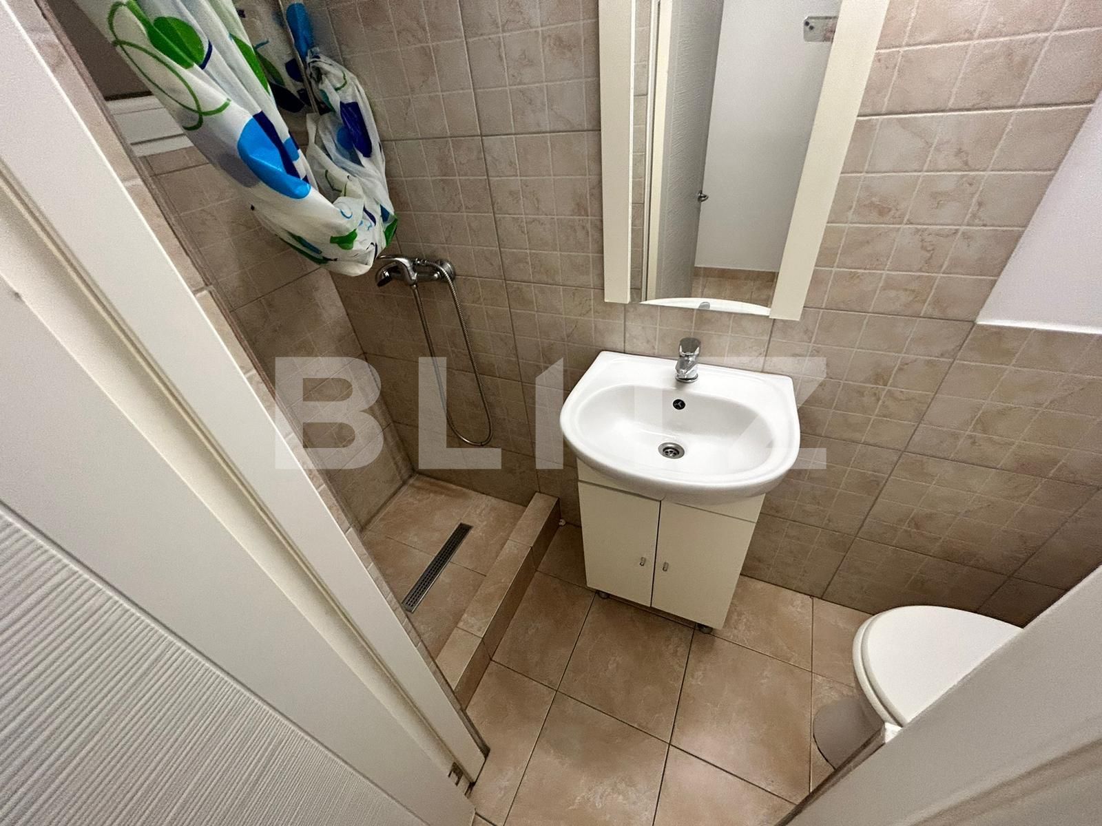 Spațiu comercial de închiriat Complex Studentesc - 113424SIC | BLITZ Timișoara | Poza10