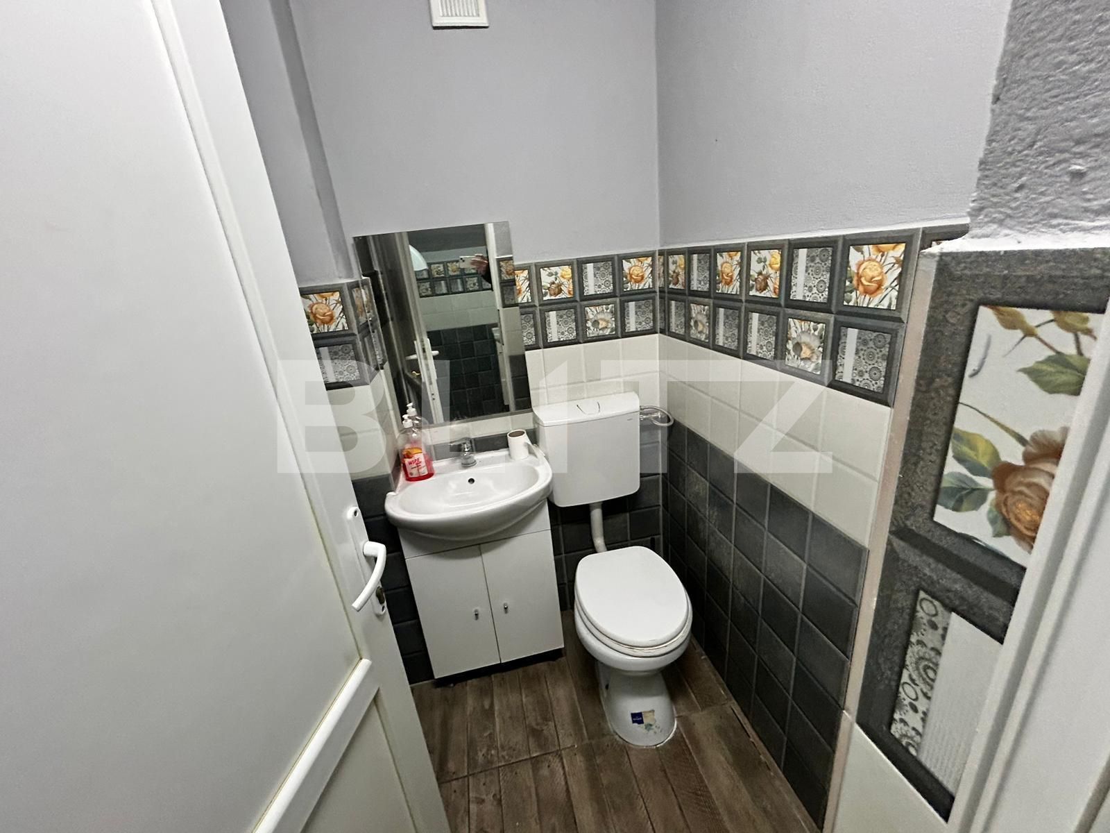 Spațiu comercial de închiriat Complex Studentesc - 113424SIC | BLITZ Timișoara | Poza12