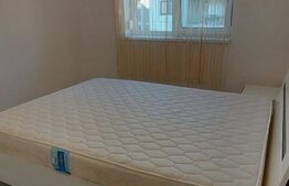 Apartament de 2 camere, superb, zona Eso Giroc