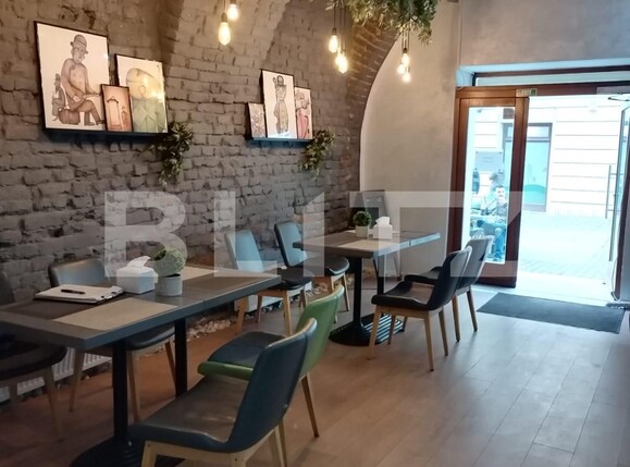 Spațiu comercial de vânzare P-ta Unirii - 113844SVC | BLITZ Timișoara | Poza8