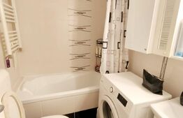 Apartament deosebit, 2cam. construit pe doua niveluri, Blascovici