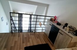 Apartament deosebit, 2cam. construit pe doua niveluri, Blascovici