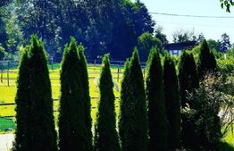 Baza de agrement  P+E, sala de evenimente si cazare