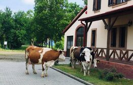 Baza de agrement  P+E, sala de evenimente si cazare