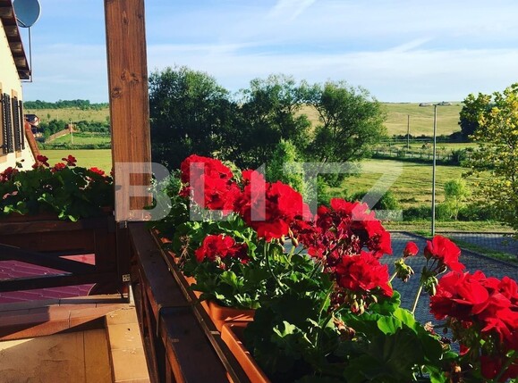 Casa de vânzare 30 camere Exterior Est - 113878CV | BLITZ Timișoara | Poza9