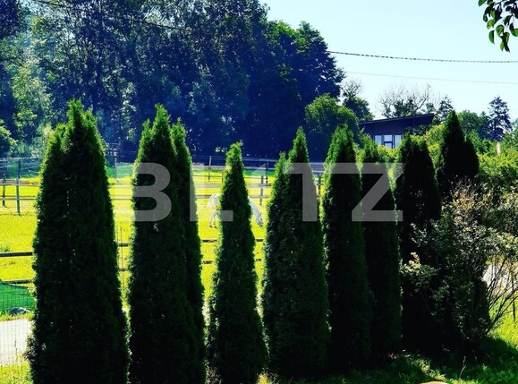 Casa de vânzare 30 camere Exterior Est - 113878CV | BLITZ Timișoara | Poza8